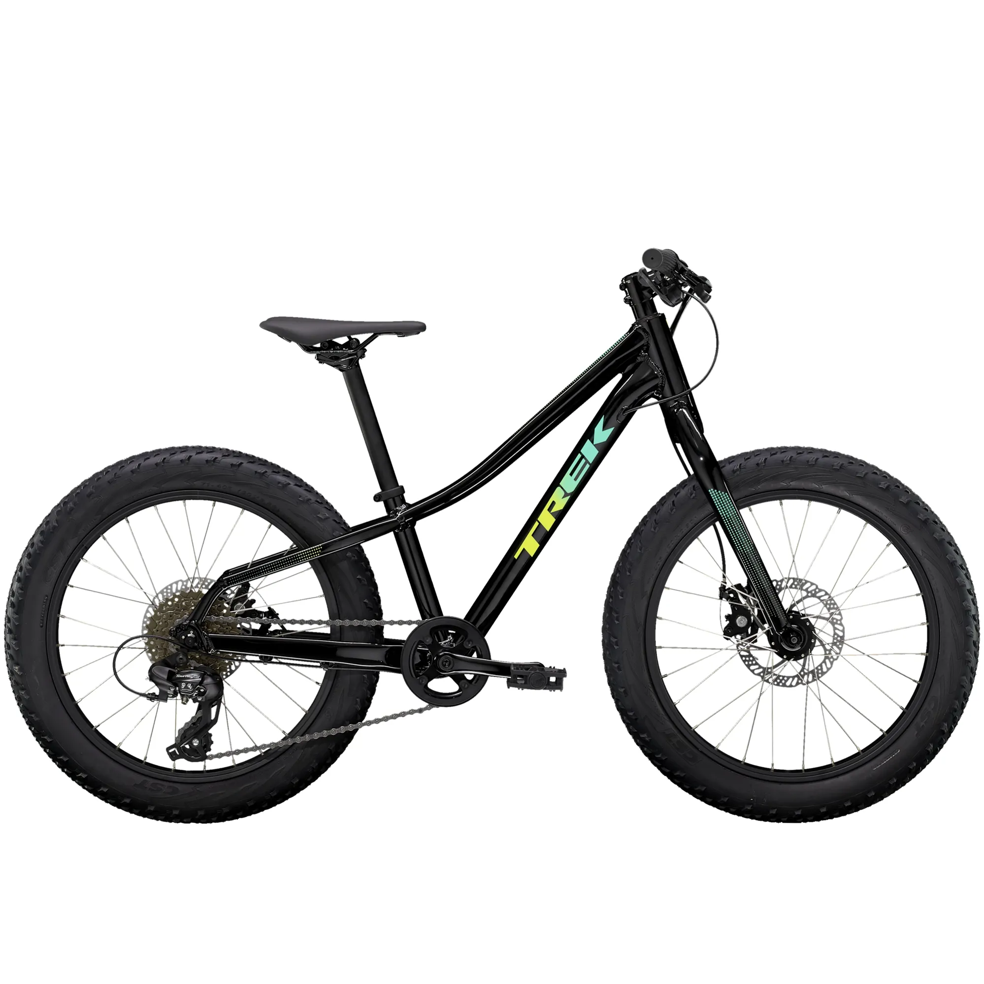 Trek Roscoe 20 Kids Mountain Bike in Black