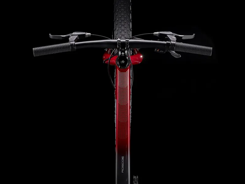 Trek Roscoe 24 Kids Mountain Bike in Red-5