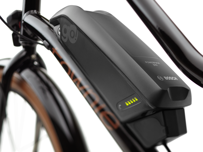 Electra Townie Go! 5i Step-Thru E-Bike in Jade-2