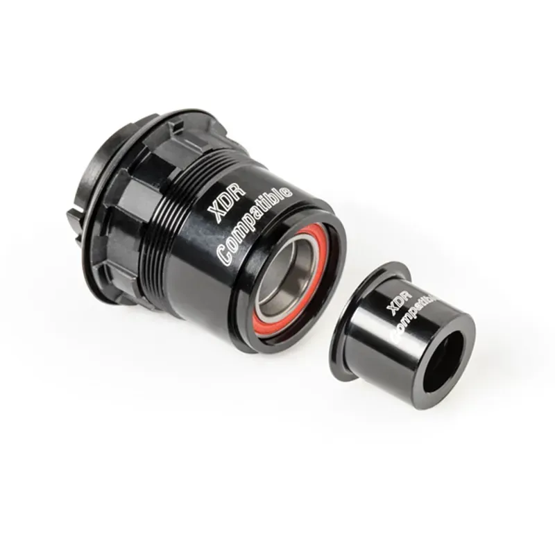 DT Swiss Pawl Freehub Conversion Kit in Black Alloy