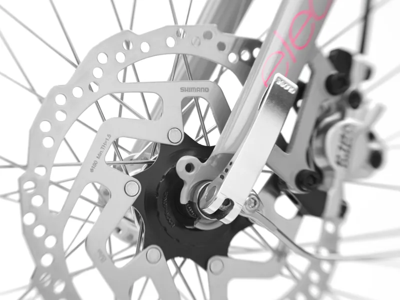 Electra Townie Go 5i Step Thru Electric Bike in Grey-4