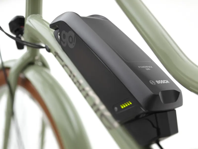 Electra Townie Go 5i Step Thru Electric Bike -  Green Tea-2