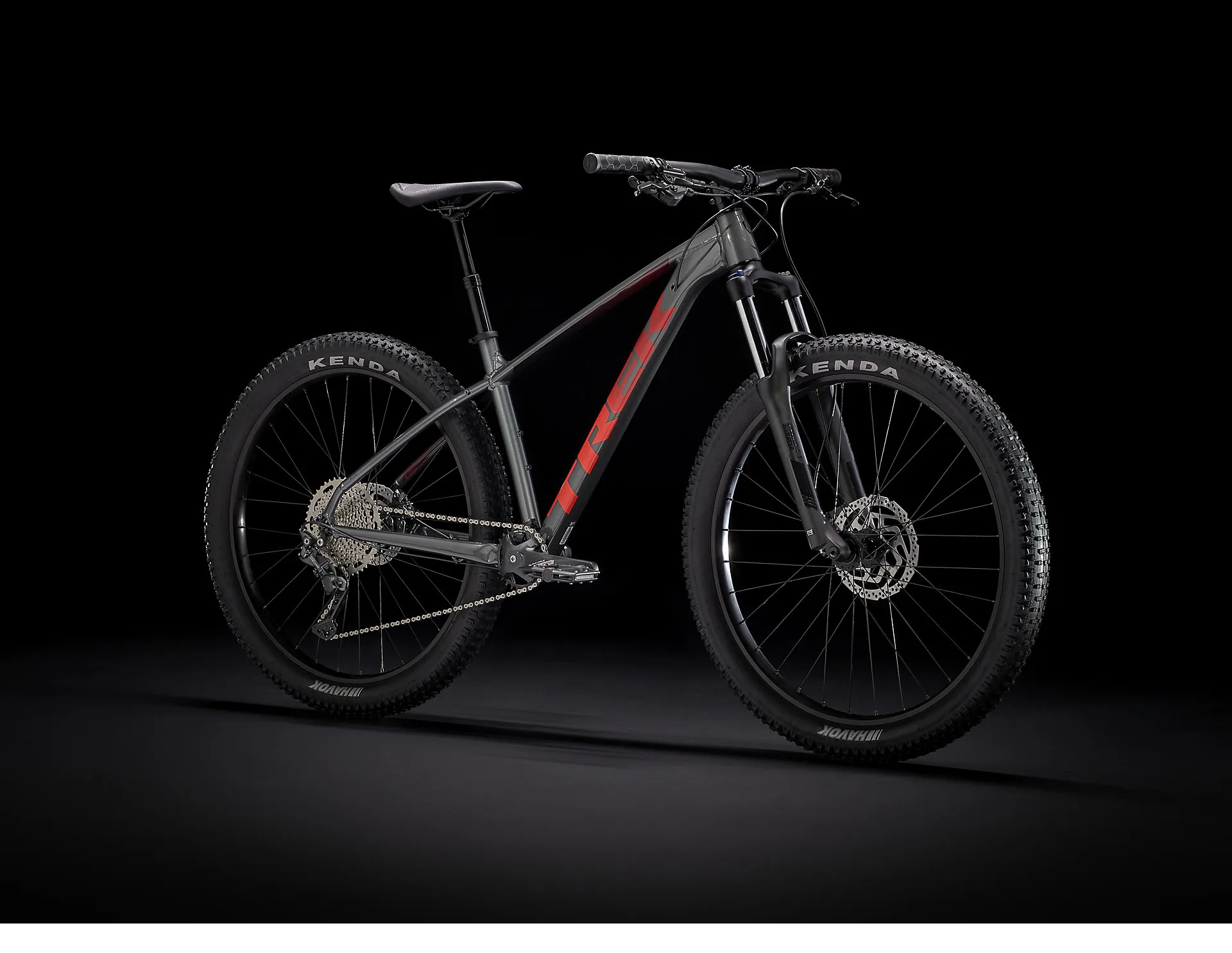 Trek Roscoe Mountain Bike in Grey