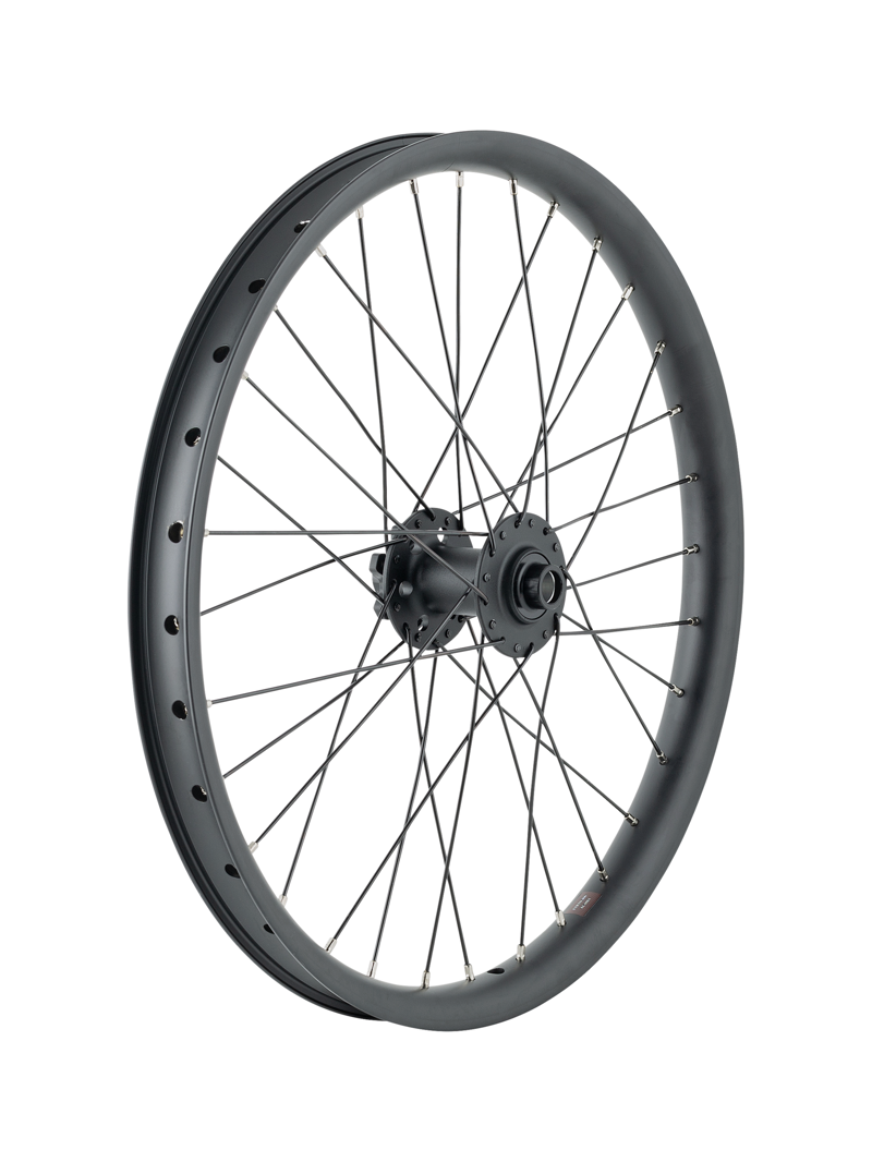 Trek Cargo Bike 6-Bolt Disc 20 Inch Wheel in Black