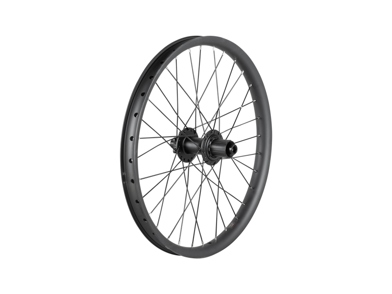 Trek Cargo Bike 6-Bolt Disc 20 Inch Wheel in Black-1
