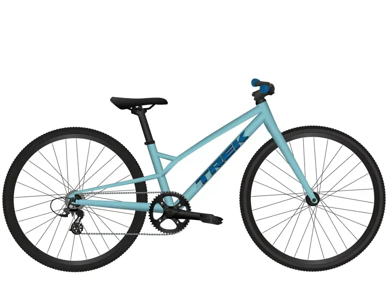 2026 Trek Wahoo 26 Path Kids Bike in Blue Sage