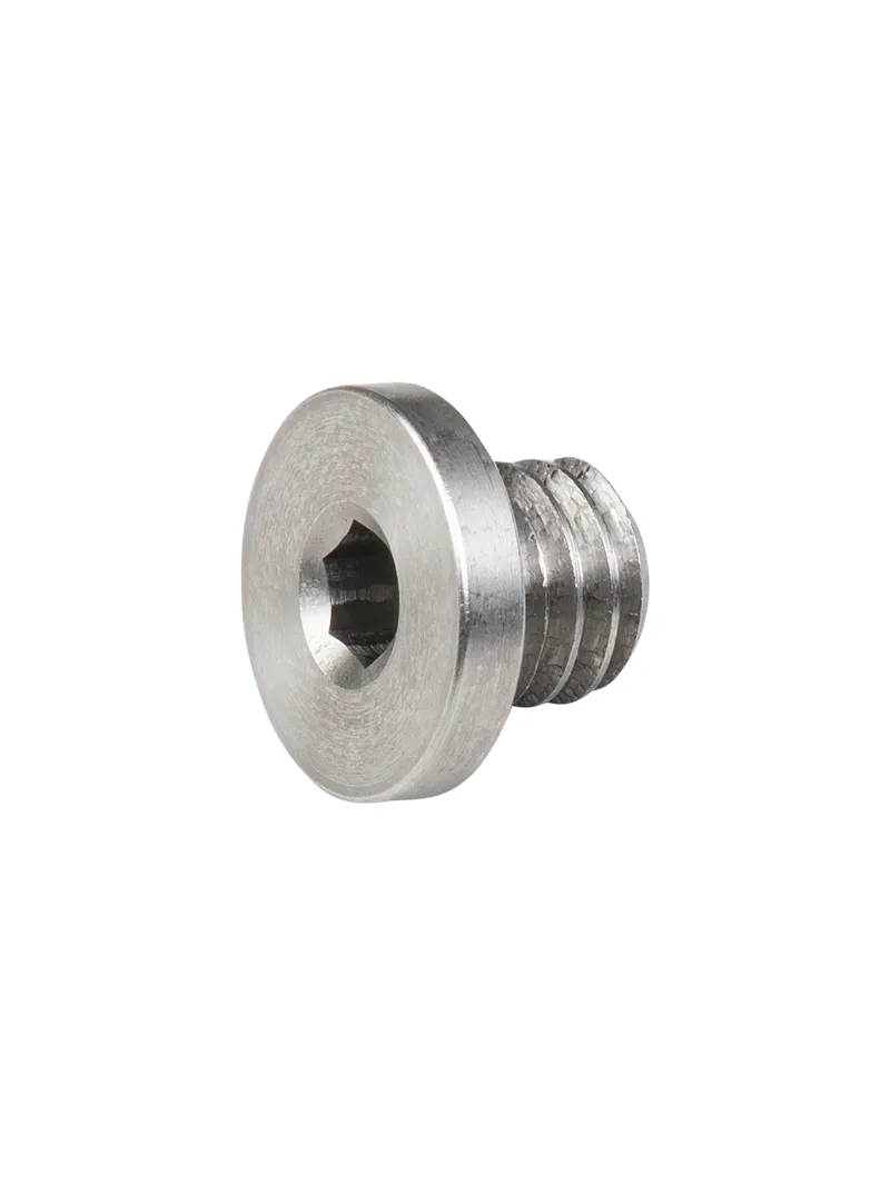 Trek Frame Part Hanger Bolt Road/Atb Rear Silver 6mm x 4mm